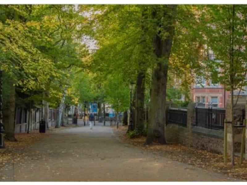 Lady Elizabeth Home & Hospital - Nursing Home in Auckland, Counties Manukau District Health Board photo 3