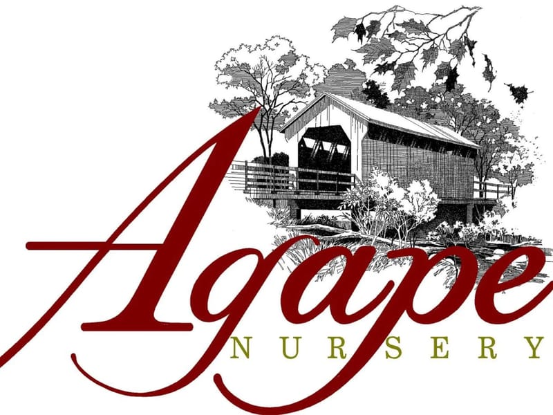 Agape Personal Care Home Of Macon - Assisted Living in Macon, GA photo 2
