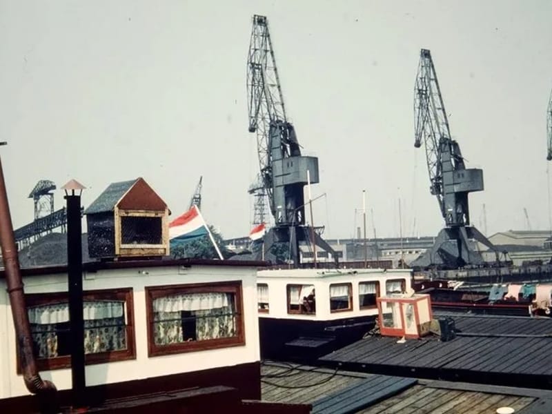 De Steenplaat - Verpleeghuis in Rotterdam, Zuid-Holland photo 2