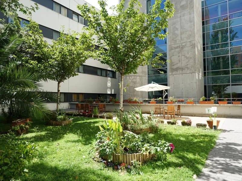 Amavir Arganzuela, Centro De Dia (Plan Velocidad) - Centro de Día in Madrid, Madrid photo 1