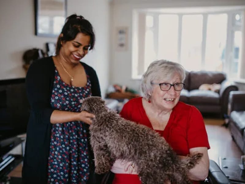 Agincare UK Christchurch - In-Home Care in Christchurch, England photo 2