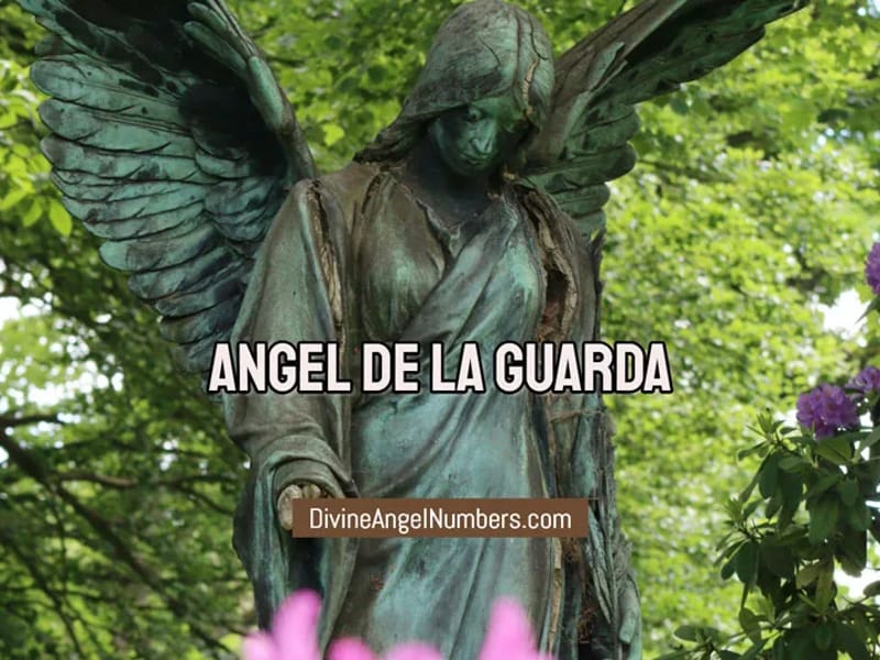 Angel De La Guarda, Residencia - Hogar de Ancianos in Madrid, Madrid photo 3