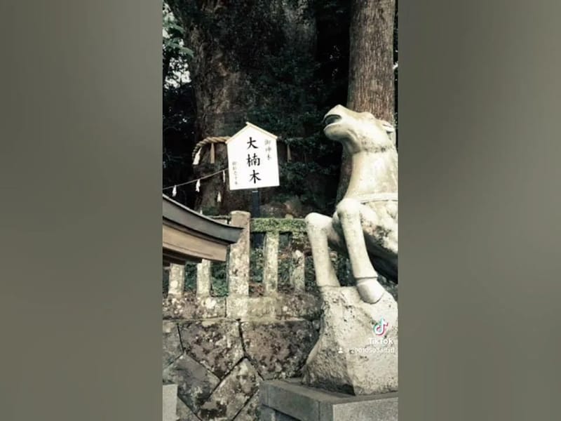 いまじんデイルーム別府朝見 - デイサービス in 別府市, 大分県 photo 2