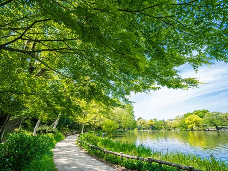あいらの杜　石神井公園 - 有料老人ホーム in 練馬区, 東京都 photo 2