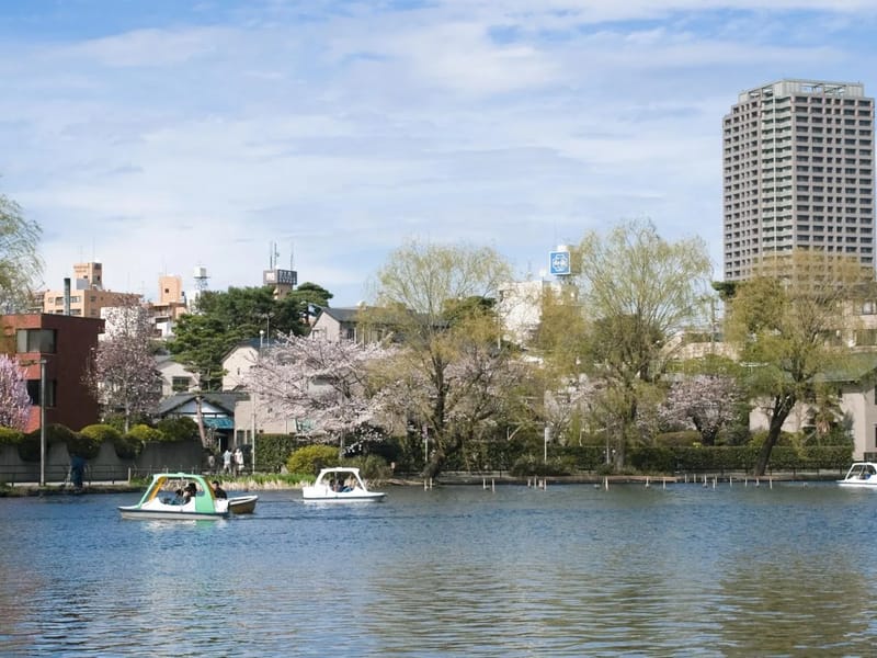 あいらの杜　石神井公園 - 有料老人ホーム in 練馬区, 東京都 photo 3