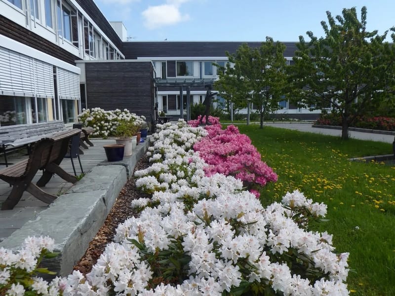Glomstua omsorgssenter - Sykehjem in Molde, Møre og Romsdal photo 3