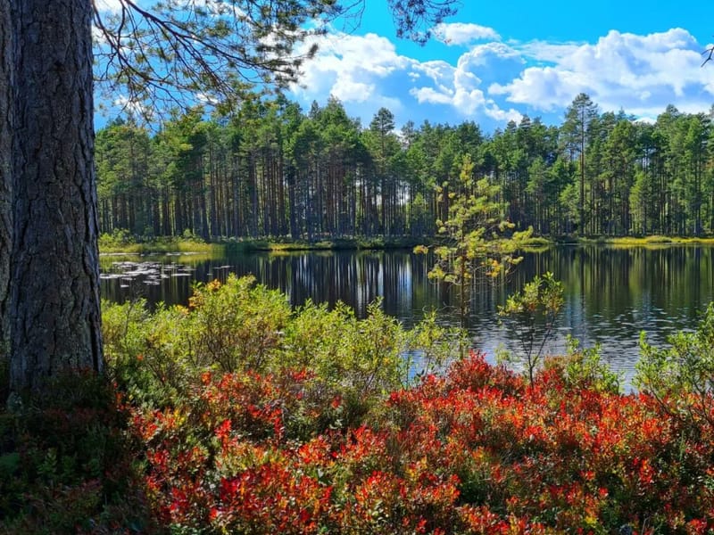Solgården - Äldreboende in Arvika, Värmlands län photo 1