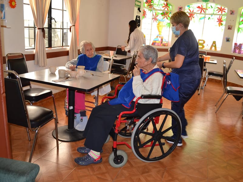 INSTITUTO NACIONAL DE LAS PERSONAS ADULTAS MAYORES - Hogar de Ancianos in Córdoba, Veracruz photo 1