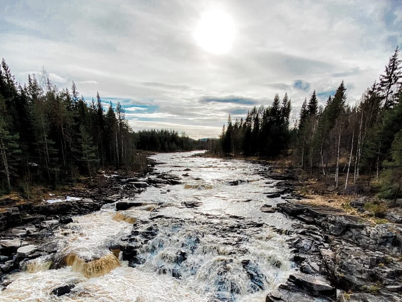 Hemvård Åsarna - Hemtjänst in Berg, Jämtlands län photo 2