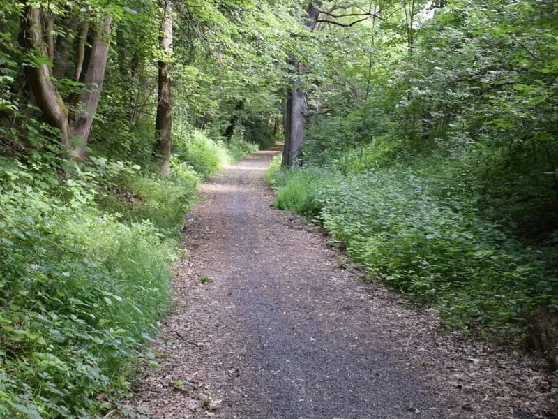 Altenpflegeheim Am Hainberg - Pflegeheim in Colditz, Sachsen photo 1