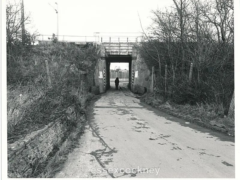 Homelium Essex - Assisted Living in Benfleet, England photo 2