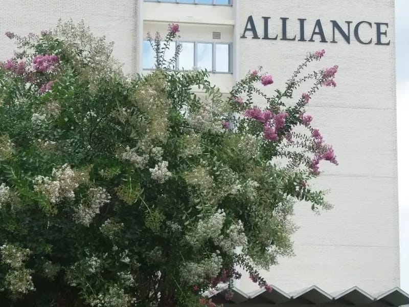 Alliance Health Center - Hospital in Meridian, MS photo 1