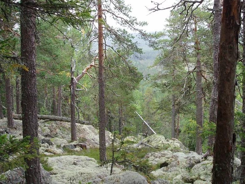Sörgården - Äldreboende in Nordanstig, Gävleborgs län photo 2
