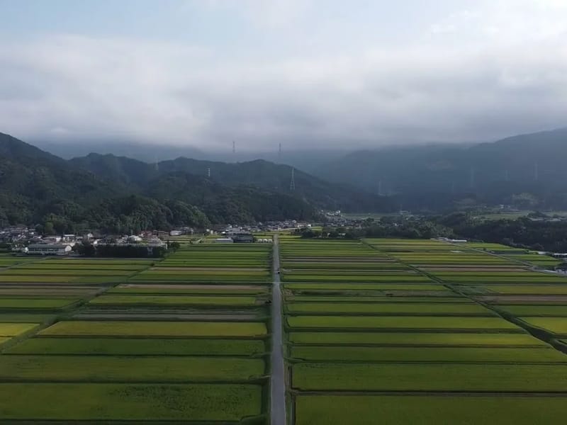 さかいの樹 早良 - デイサービス in 福岡市早良区, 福岡県 photo 3