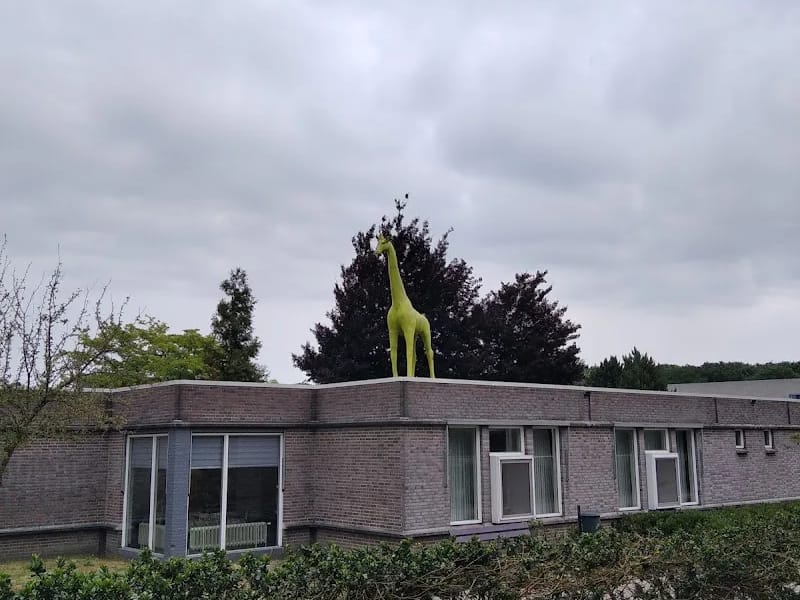 Mijzo - Begeleid Wonen in Waalwijk, Noord-Brabant photo 3