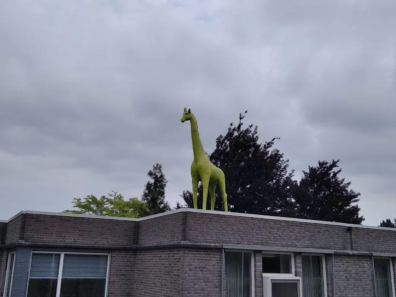 Mijzo - Begeleid Wonen in Waalwijk, Noord-Brabant photo 7