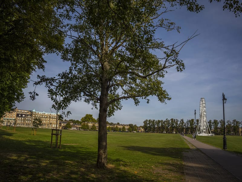St Andrew's Cambridge - Nursing Home in Cambridge, Waikato District Health Board photo 1