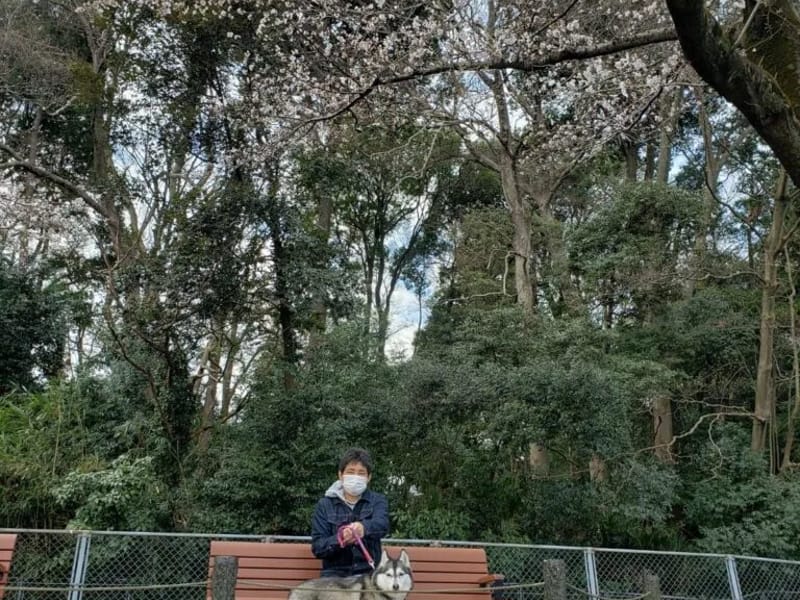 グループホーム ふぁいと山崎の里 - 認知症ケア in 鎌倉市, 神奈川県 photo 2