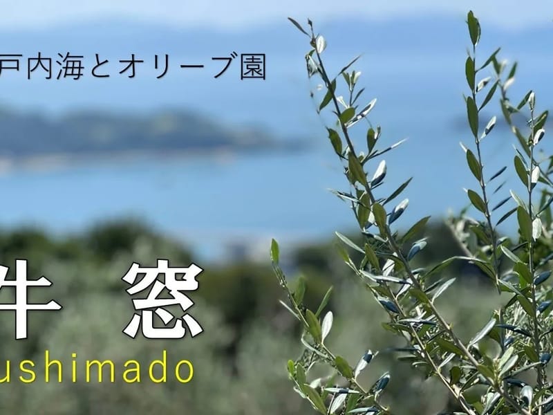 オリーブガーデン - 有料老人ホーム in 倉敷市, 岡山県 photo 2