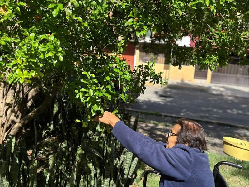 CUIDADOS PARA ADULTOS MAYORES - Hogar de Ancianos in Puebla, Puebla photo 1