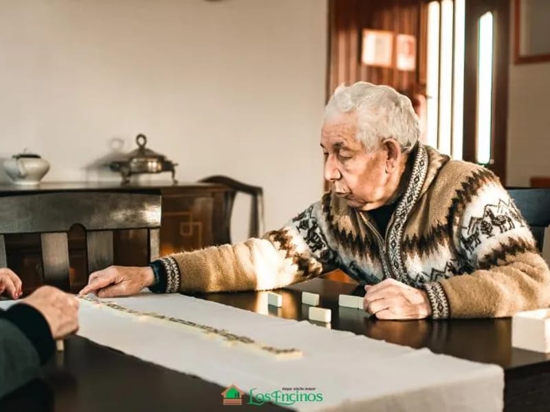 Hogar Del Adulto Mayor Los Encinos - Hogar de Ancianos in Valdivia, Región de Los Ríos photo 3
