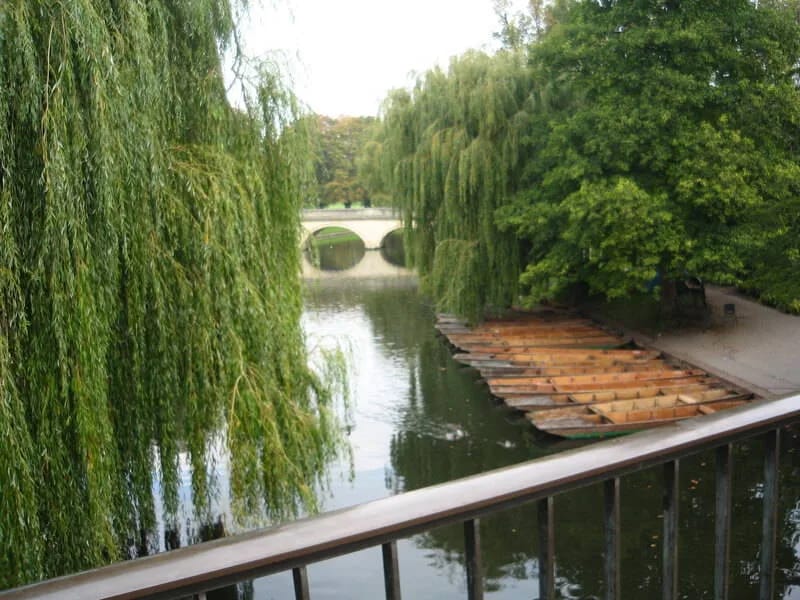 Becks homecare services limited - In-Home Care in Wellingborough, England photo 2