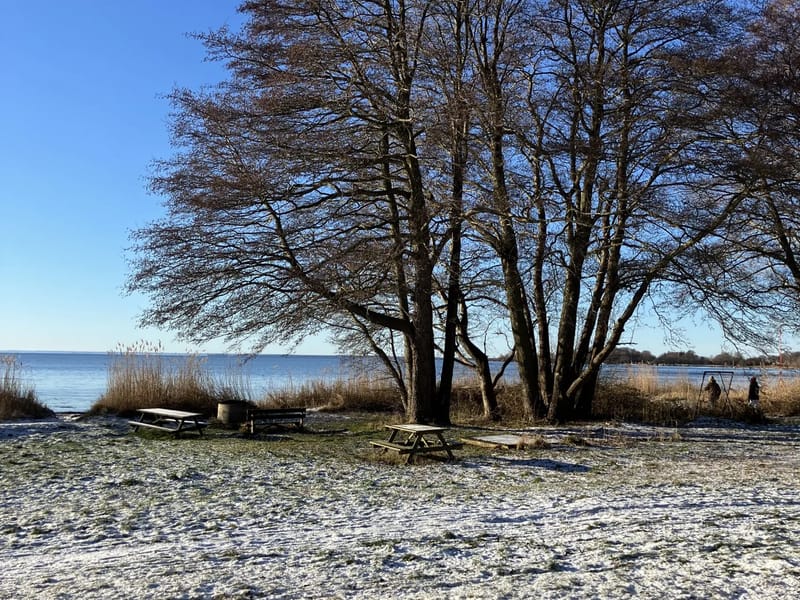 Östra hemtjänsten - Hemtjänst in Sandviken, Gävleborgs län photo 1