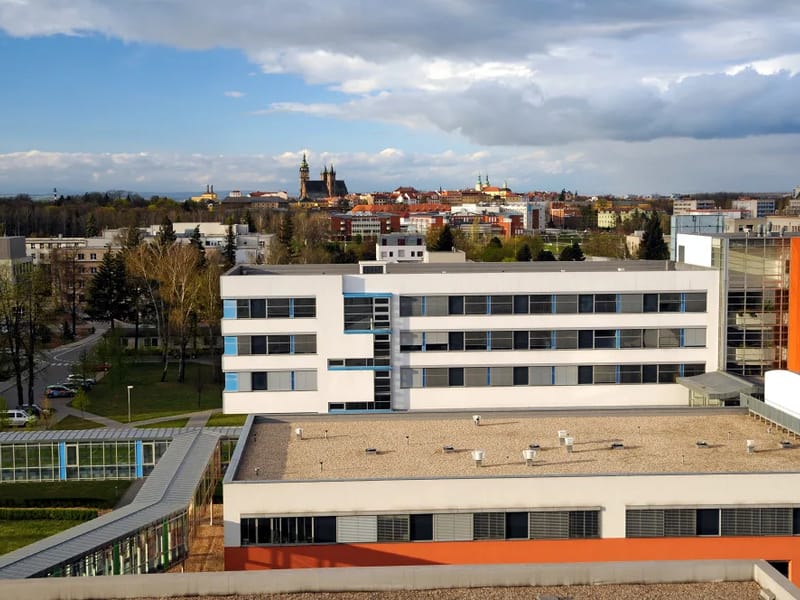 denní stacionáře (2180159) - Denní stacionář in Hradec Králové, Královéhradecký kraj photo 1