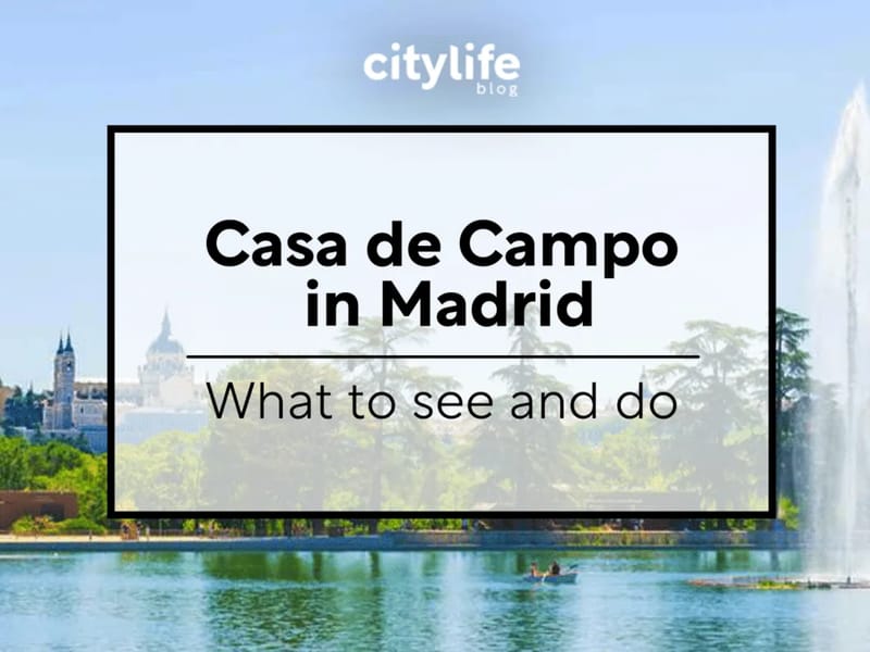 Casa De Campo, Centro De Día - Centro de Día in Madrid, Madrid photo 3