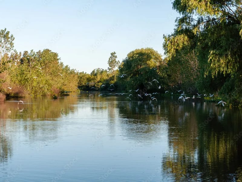 Bosque De Roga S.a - Hogar de Ancianos in LA PLATA, BUENOS AIRES photo 1