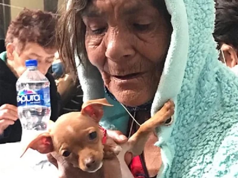 DIRECCION DE ATENCION A PERSONAS ADULTAS MAYORES ASISTENCIA SOCIAL DE LA DGD - Hogar de Ancianos in Monterrey, Nuevo León photo 2