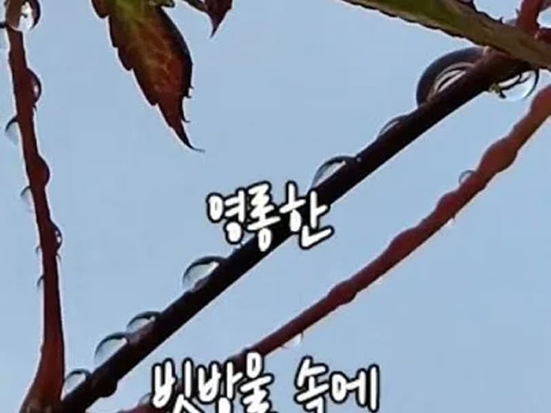 골든브릿지친구가있는집재활요양원 in 제천시, 충청북도 photo 2