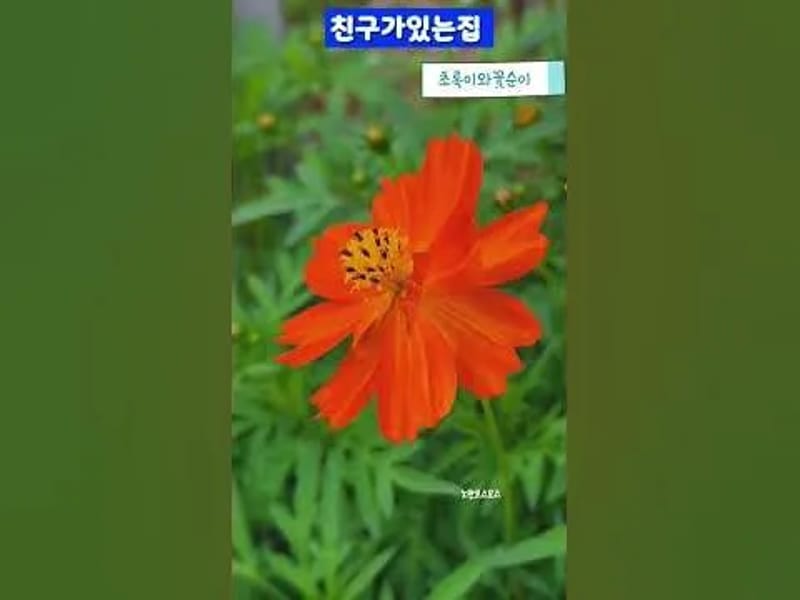 골든브릿지친구가있는집재활요양원 in 제천시, 충청북도 photo 3