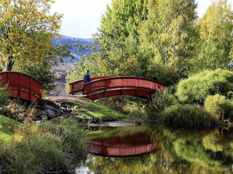 Åssiden Dagsenter - Dagaktivitet for voksne in Drammen, Viken photo 3