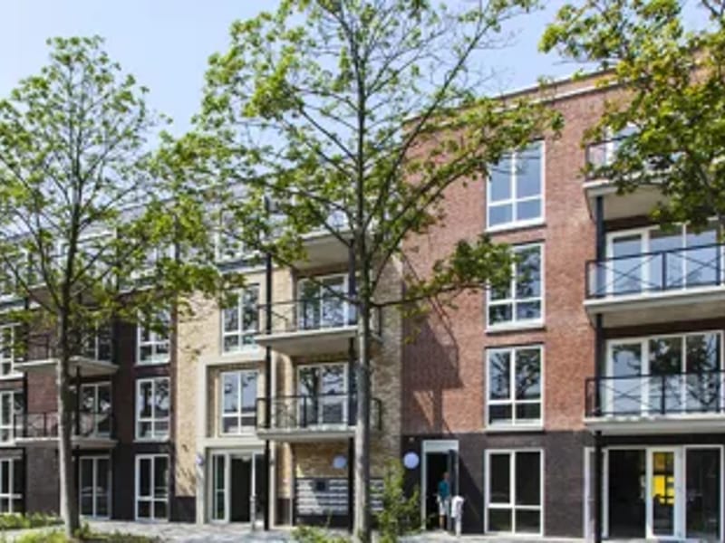 Careyn - Thuiszorg in Schiedam, Zuid-Holland photo 3