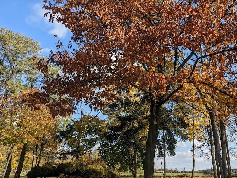 Hospicjum Kalisz - Hospicjum in Kalisz, Kalisz photo 6