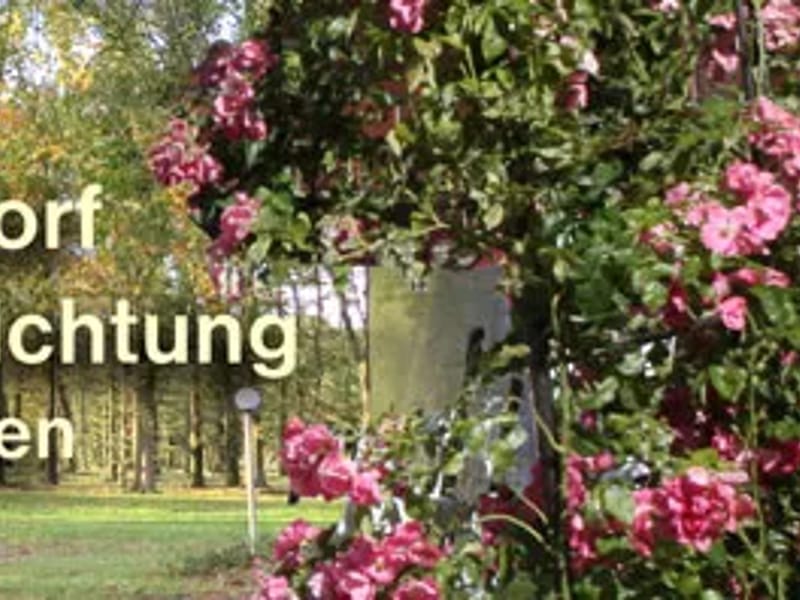 ALTREWA Gutshof Affinghausen - Pflegeheim in Affinghausen, Niedersachsen photo 3