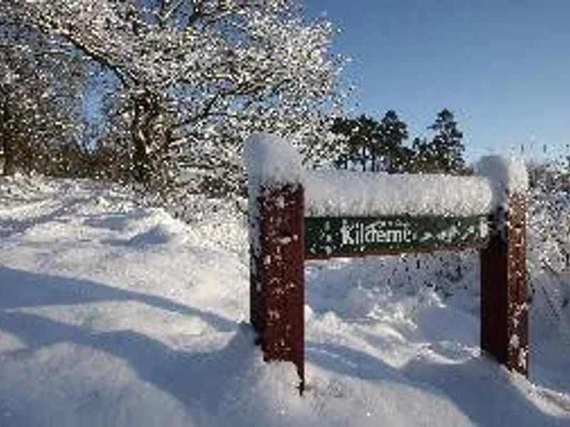 Aale-Hjortsvang Friplejehjem S/I - Plejehjem in Tørring, Region Midtjylland photo 3