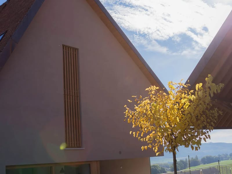 EPSM Duc - Fondation Les Noisetiers - Pflegeheim in Sassel, Vaud photo 2