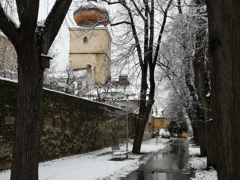 Vysoké Mýto - Pečovatelská služba in Pardubice, Pardubický kraj photo 2