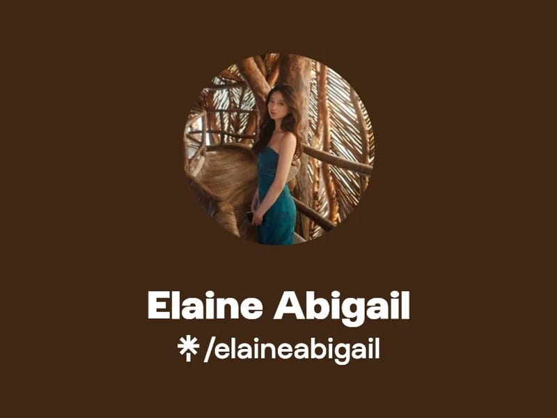 ABIGAIL ELAINE AGENCY LLC - Home Health Nursing in Canton, OH photo 1