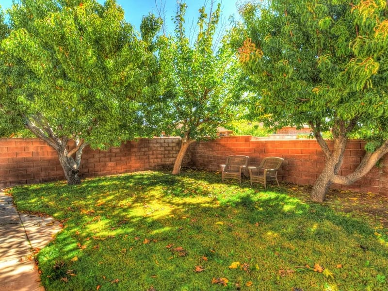 Beehive Homes Of Alamogordo - Assisted Living in Alamogordo, NM photo 2