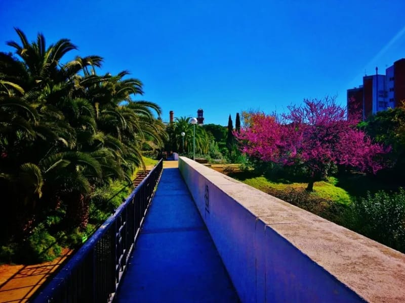 Centre de dia Parc del Clot - Centro de Día in Barcelona, Cataluña photo 2
