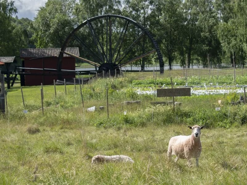 Biskopsgården - Äldreboende in Ludvika, Dalarnas län photo 1