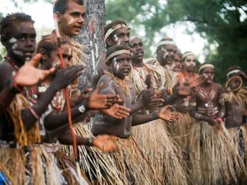 Cairns and District ATSI Elders (Gumba Gumba) in Bungalow, QLD photo 3