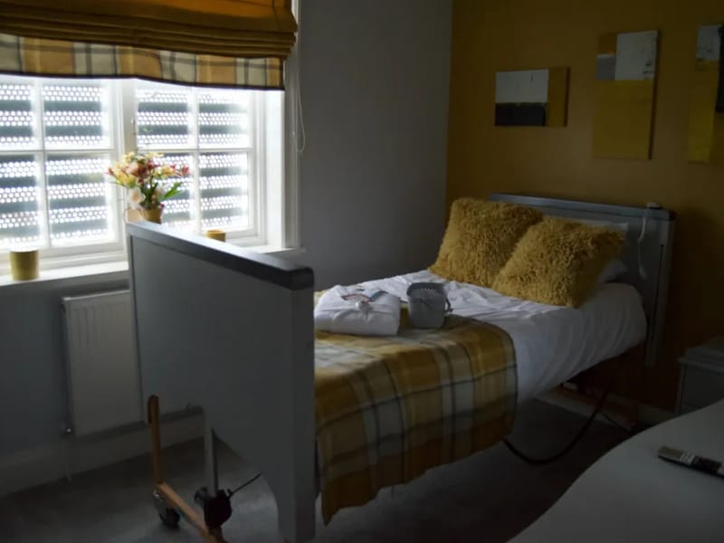 Orchids Care in Doncaster, England photo 2