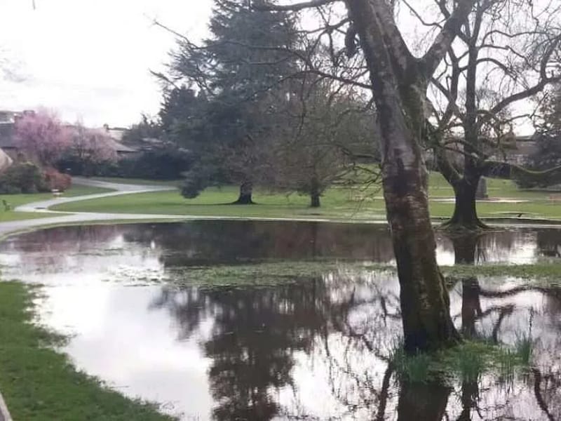 Maudes Meadow - Assisted Living in Kendal, England photo 2