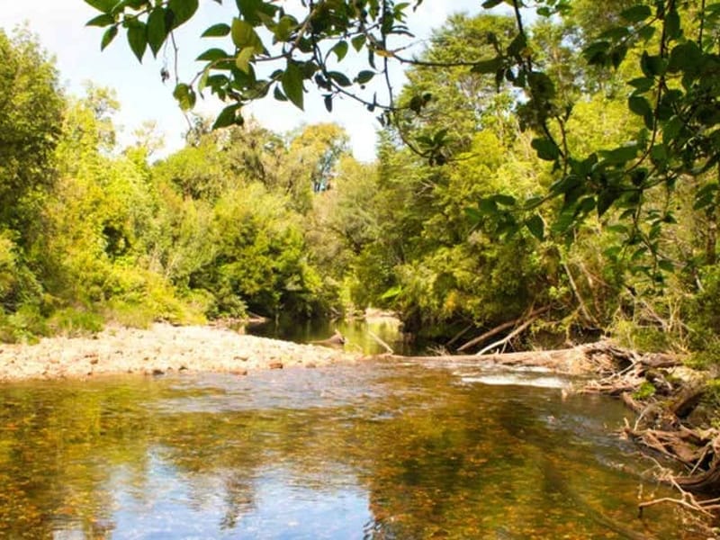 Alerce - Vida Asistida in Puerto Montt, Región de Los Lagos photo 2