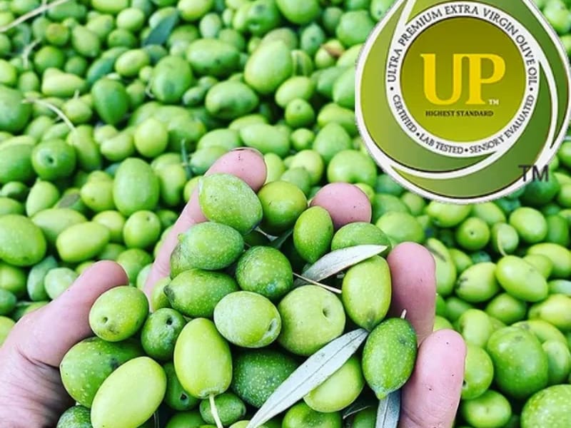 Alaska Olive Care Llc - Assisted Living in Anchorage, AK photo 3