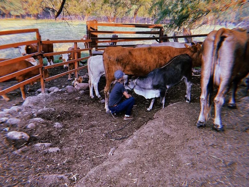 ASILO MUNICIPAL - Hogar de Ancianos in Chimaltitán, Jalisco photo 8
